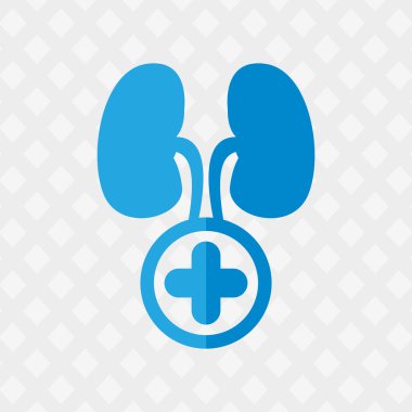 insan anatomisi tasarım