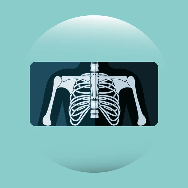 Design anatomico umano — Vettoriale Stock