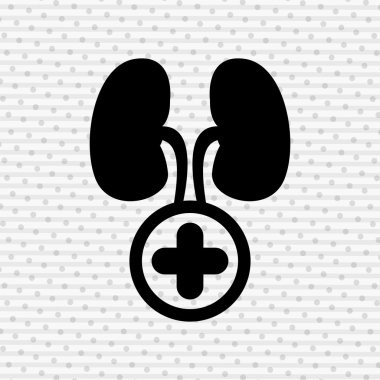 insan anatomisi tasarım