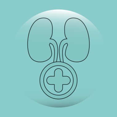 insan anatomisi tasarım