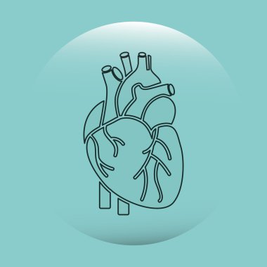 insan anatomisi tasarım