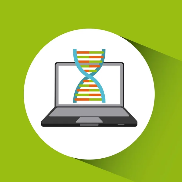 Disegno della molecola del DNA — Vettoriale Stock