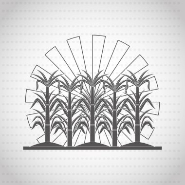 şeker ürün tasarımı