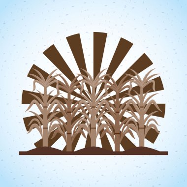 şeker ürün tasarımı