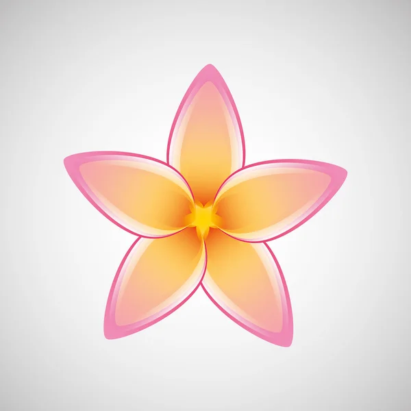 Décoration florale design — Image vectorielle