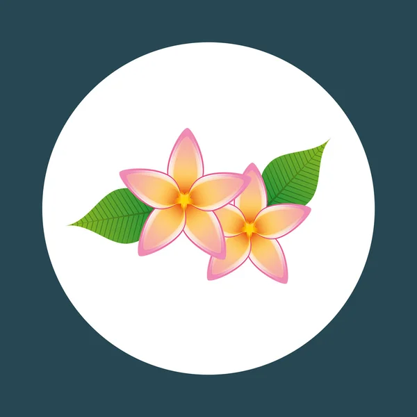 Blomdekor design — Stock vektor