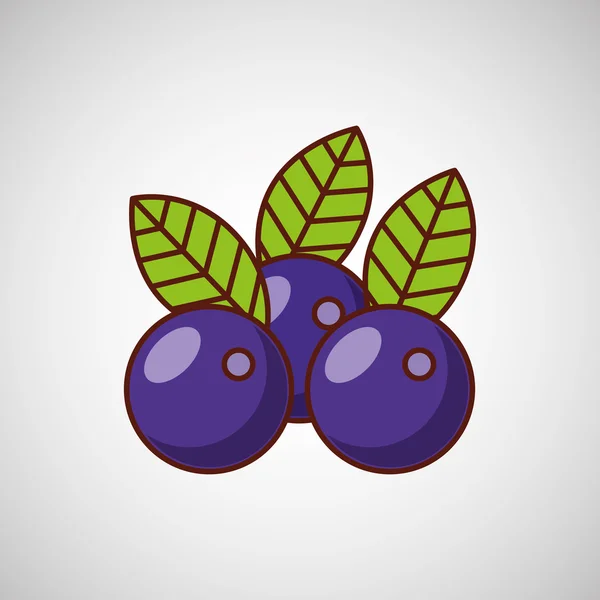 Design della frutta fresca — Vettoriale Stock