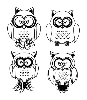 Baykuş karakter tasarımı