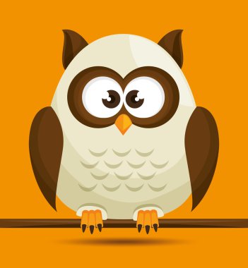 Baykuş karakter tasarımı