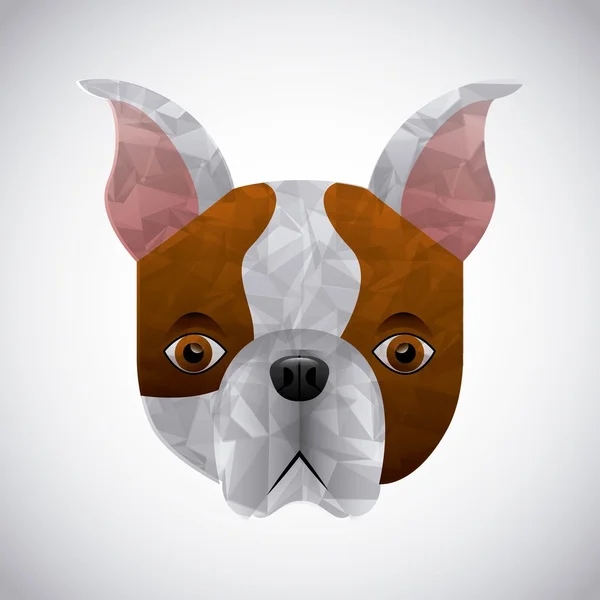 Franse bulldog-ontwerp — Stockvector