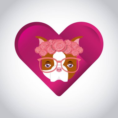 evde beslenen hayvan hizmet tasarımı 