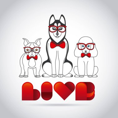 evde beslenen hayvan hizmet tasarımı 