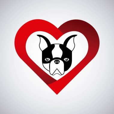 evde beslenen hayvan hizmet tasarımı 