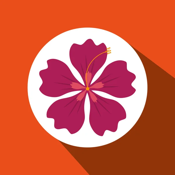 Diseño de flores hawaianas — Archivo Imágenes Vectoriales