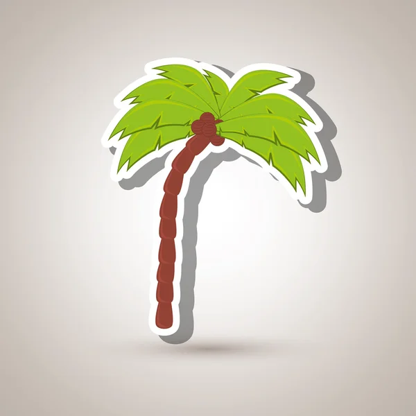 Palm geïsoleerd ontwerp — Stockvector