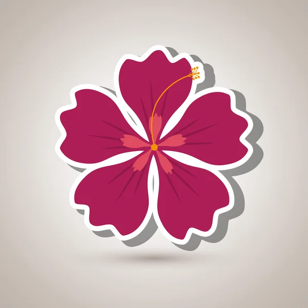 ハワイの花のデザイン — ストックベクタ
