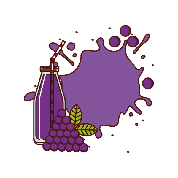 Diseño de la fruta smothie — Vector de stock