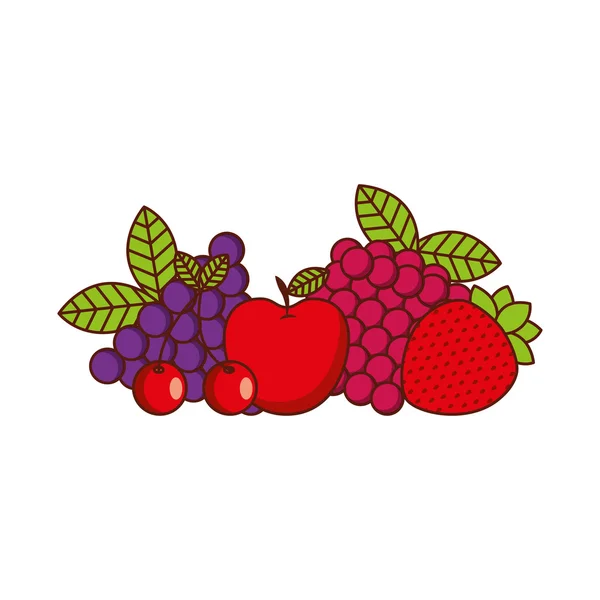 Design de frutas frescas —  Vetores de Stock