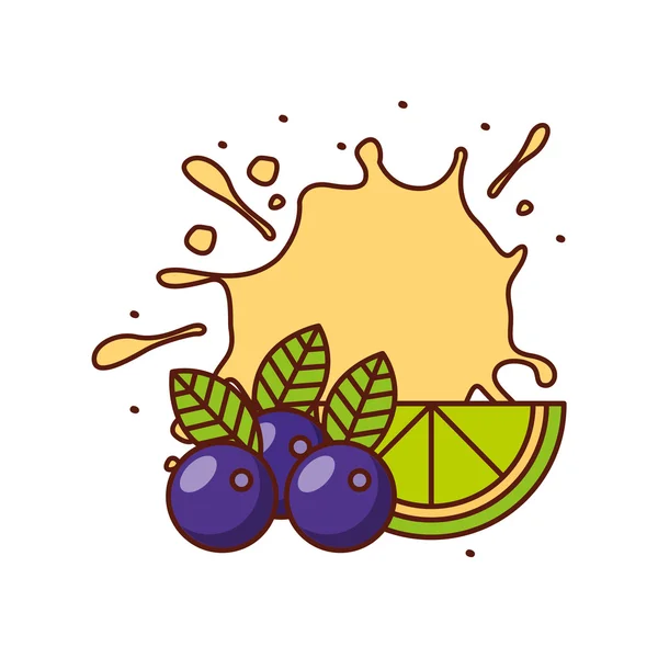 Vers fruit ontwerp — Stockvector