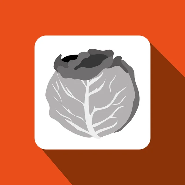 Vegetable icon design — Stock Vector