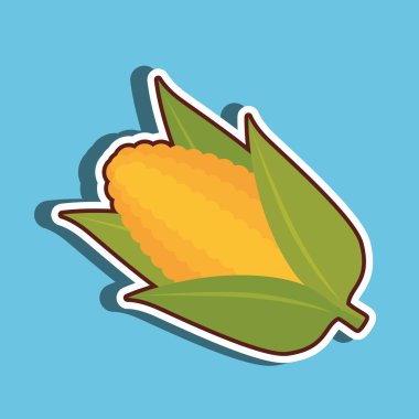 sağlıklı gıda tasarımı