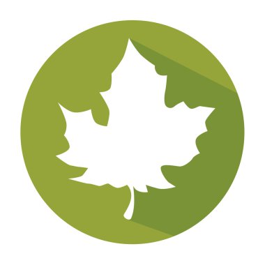 izole tasarım yeşil yapraklar