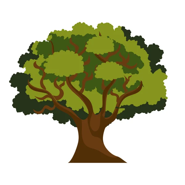 Σχέδιο δέντρων απομονωθεί — Διανυσματικό Αρχείο