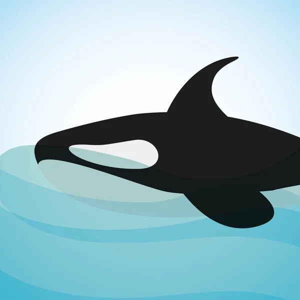 Diseño de ballena asesino — Vector de stock