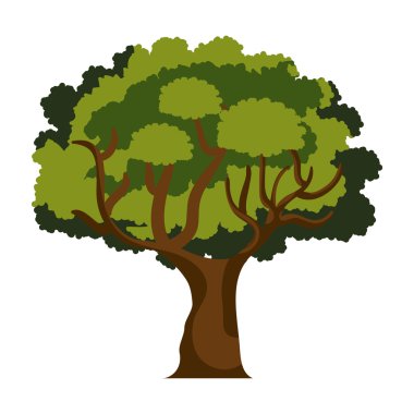 ağaç izole tasarım