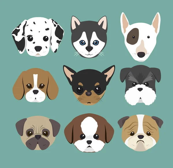 Diseño de perros de raza pura — Vector de stock