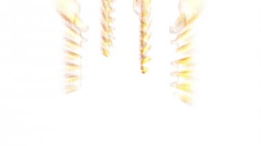 Tüller şahıs tasarımı, Video animasyon