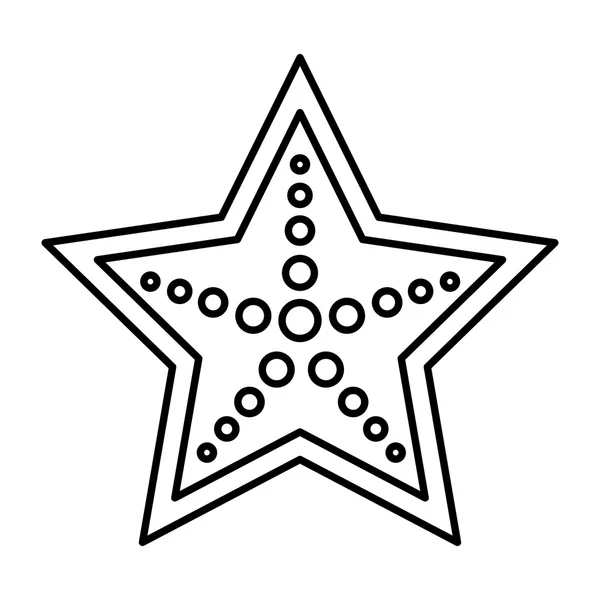 Starfish isolated icon  design — Stock Vector