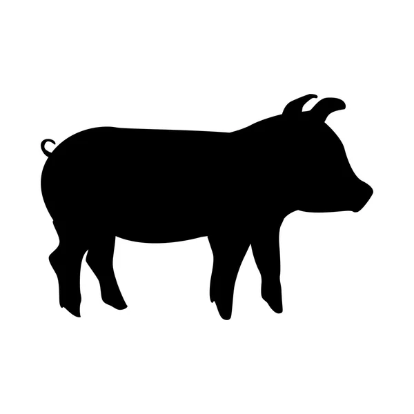 Cerdo animal granja aislado icono de diseño — Vector de stock