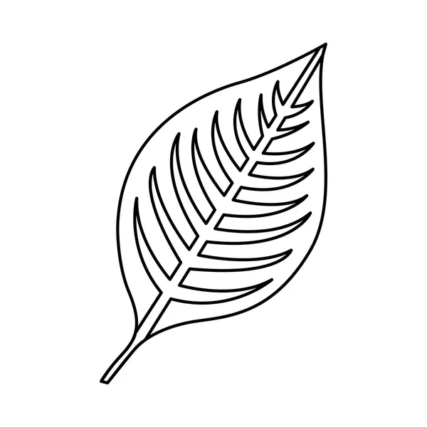 Feuilles de plante icône isolée design — Image vectorielle