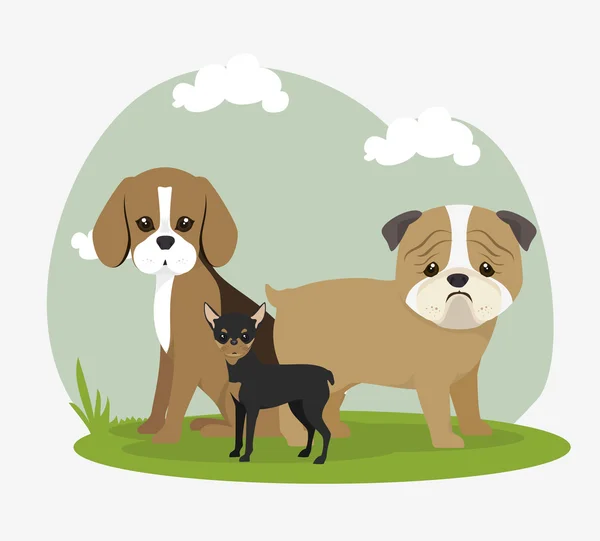 Leuke hond ontwerp — Stockvector