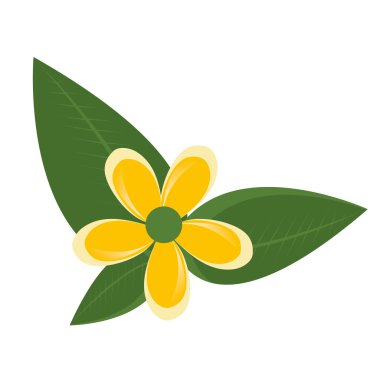 yeşil ağaçlı sarı çiçek yaprakları