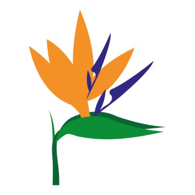 Sarı ve mavi çiçek