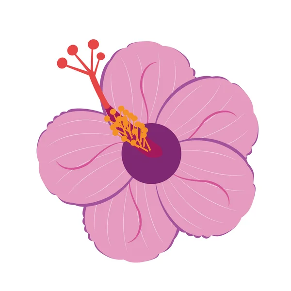 Roze en paarse flowe — Stockvector