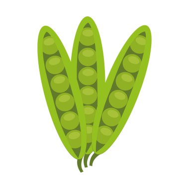 ortak fasulye görünümü, vektör grafiği ön