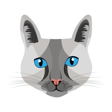 renkli kedi Önden Görünüm, vektör grafiği