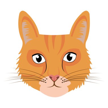 renkli kedi Önden Görünüm, vektör grafiği