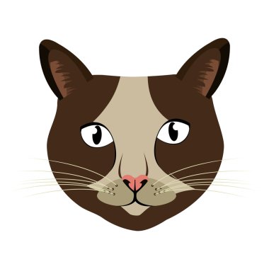 renkli kedi Önden Görünüm, vektör grafiği