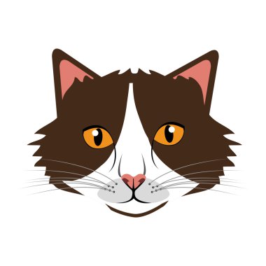 renkli kedi Önden Görünüm, vektör grafiği