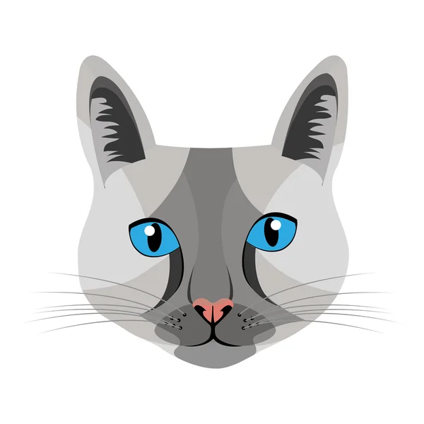 Widok z przodu kolorowy kot, grafika wektorowa — Wektor stockowy