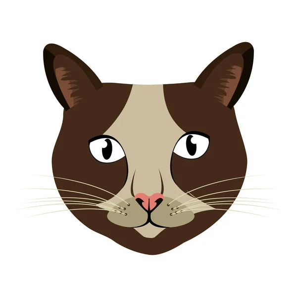 Vista frontal de gato colorido, gráfico vetorial — Vetor de Stock