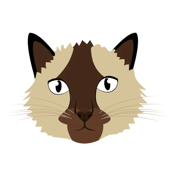 260+ Grumpy Cat Cartoon Stock Illustrations, Royalty-Free Vector Graphics &  Clip Art - iStock