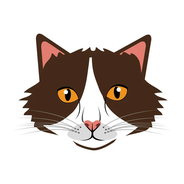 Renkli kedi Önden Görünüm, vektör grafiği — Stok Vektör