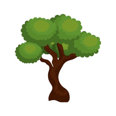 büyük ve yapraklı ağaç izole simgesi