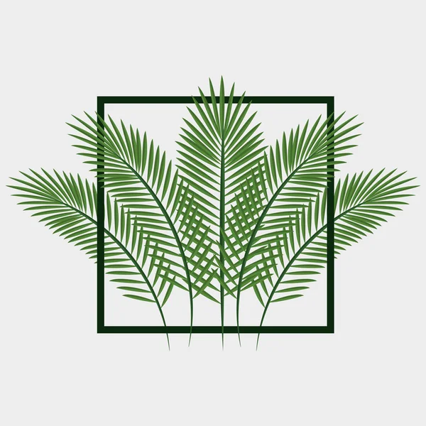 Jungle laisse motif icône isolée design — Image vectorielle