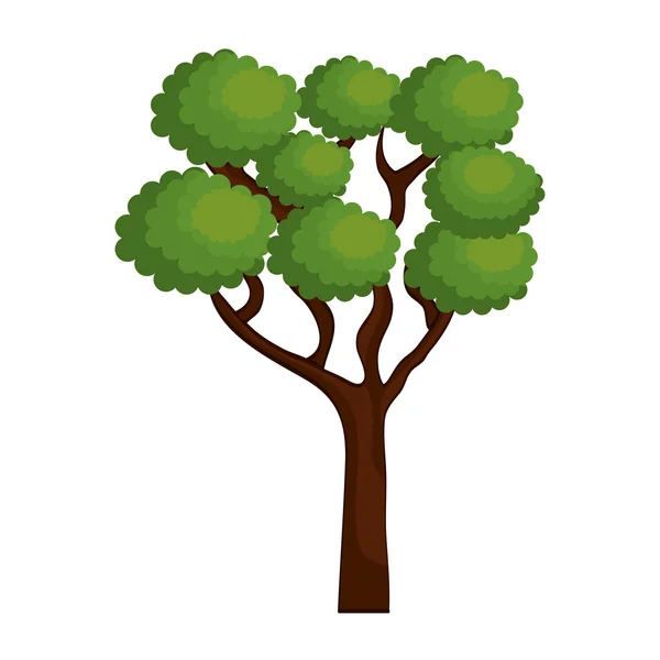 Großer und grüner Baum isoliert Symboldesign — Stockvektor